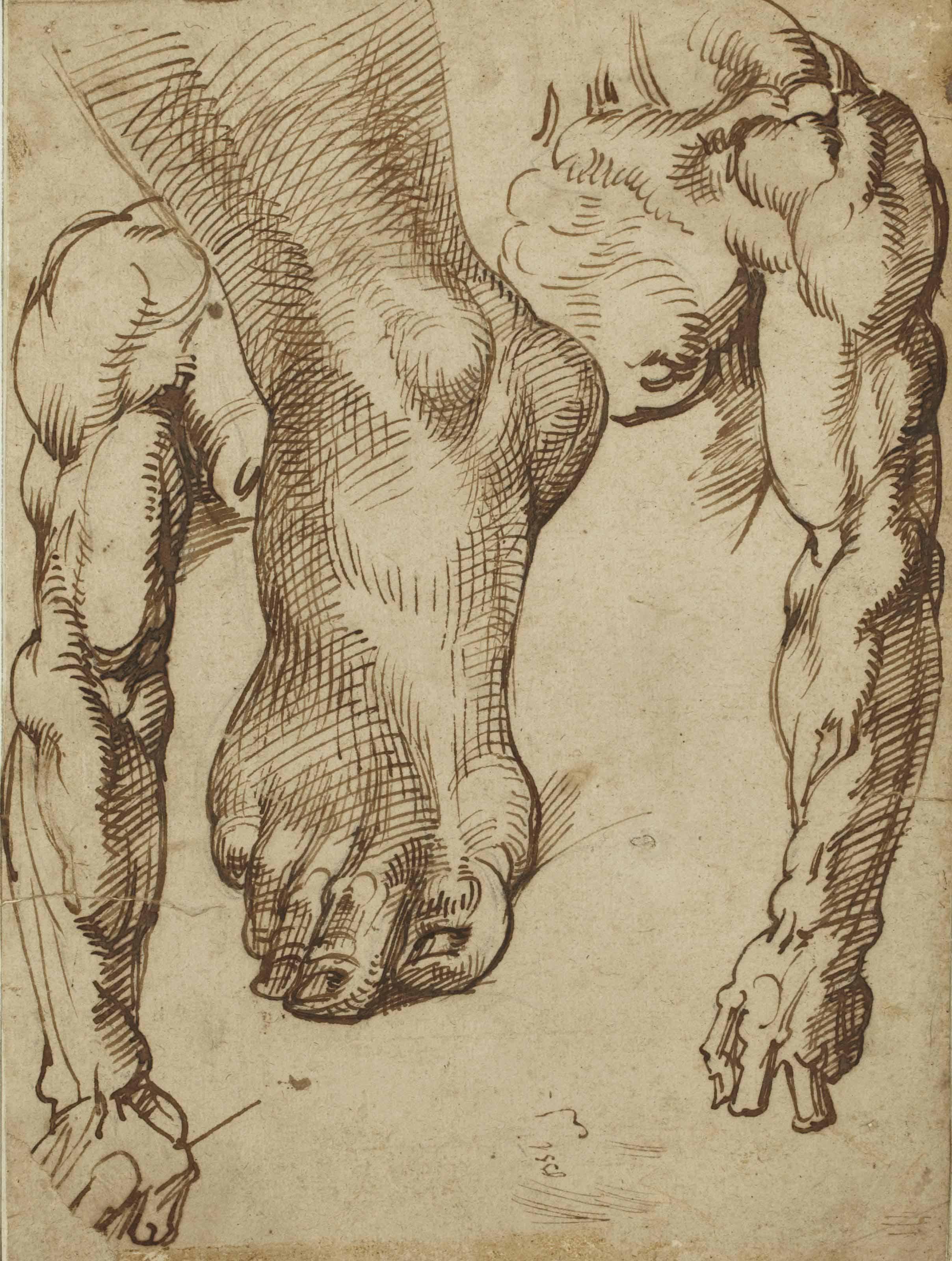 Bartolomeo Passarotti - Etude de pied et de bras