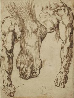 Bartolomeo Passarotti - Etude de pied et de bras