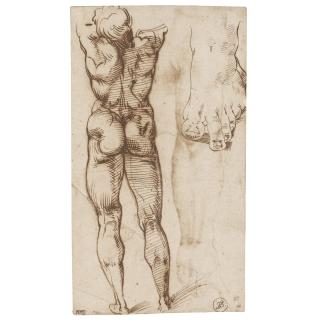 Bartolomeo Passerotti - Double-Sided Sheet Of Studies Of A Male Nude