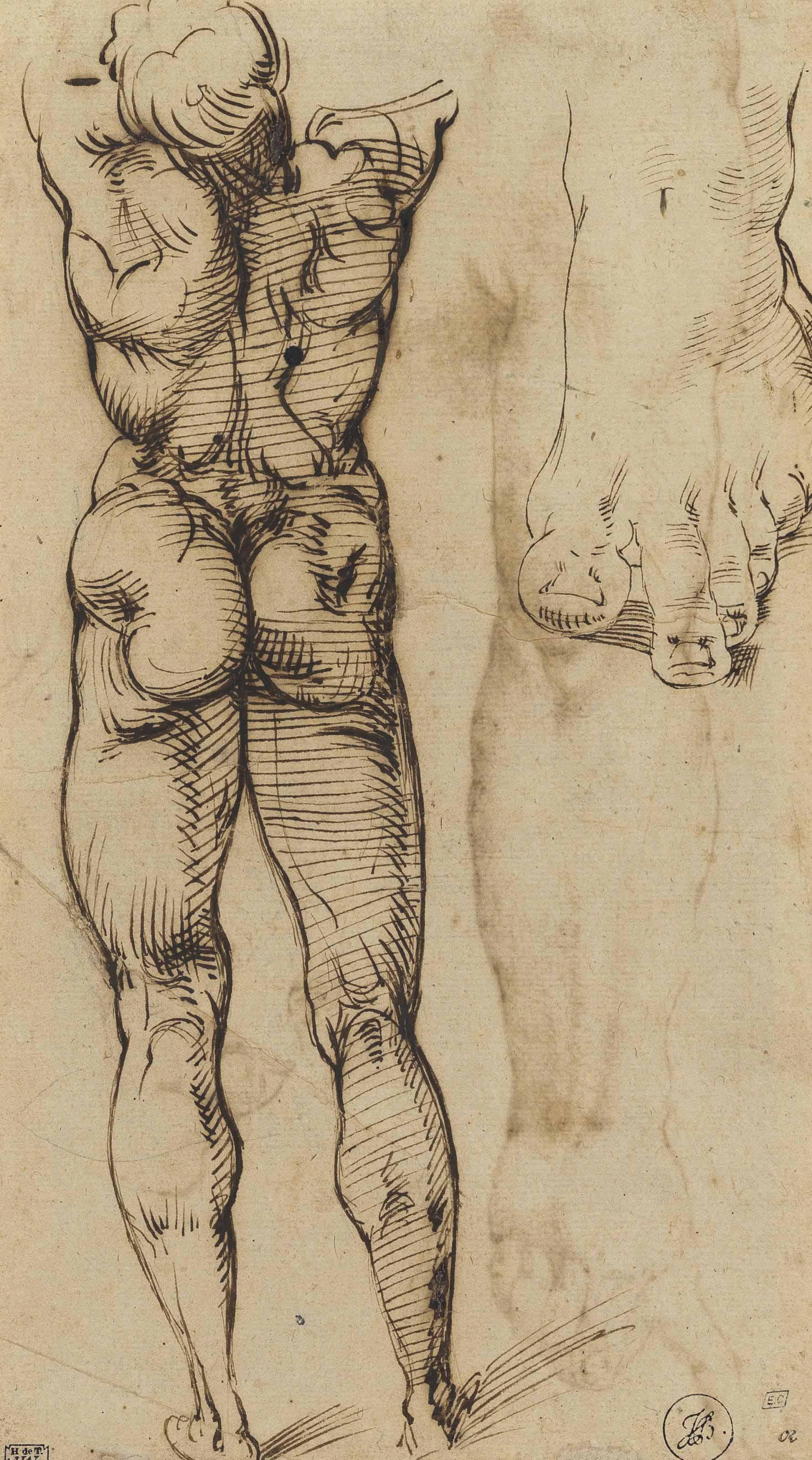 Bartolomeo Passerotti - Study Of A Standing Male Nude Seen From Behind, With A Subsidiary Study Of A Foot (Recto); Two Studies Of An Arm And A Male Face In Three-Quarter View (Verso)