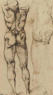 Bartolomeo Passerotti - Study Of A Standing Male Nude Seen From Behind, With A Subsidiary Study Of A Foot (Recto); Two Studies Of An Arm And A Male Face In Three-Quarter View (Verso)