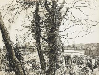 Basil Blackshaw, H.R.H.A - Landscape With Trees