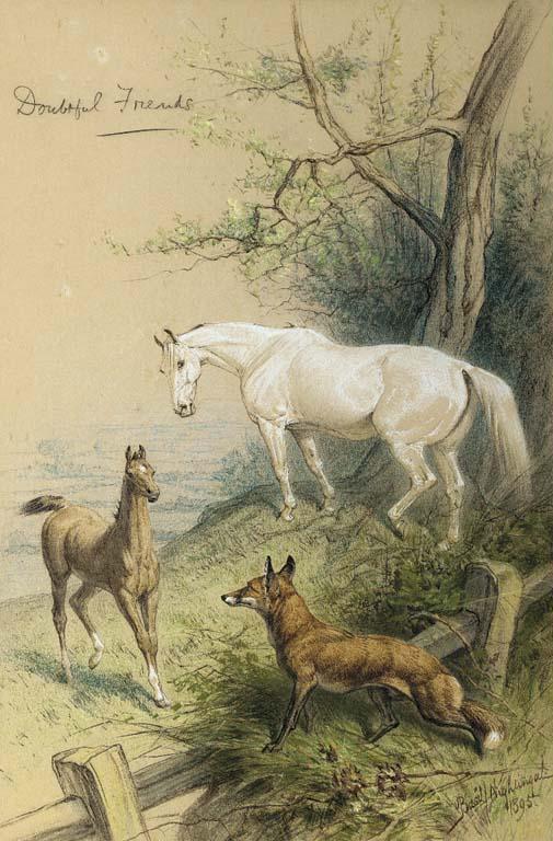 Basil Nightingale - Doubtful friends