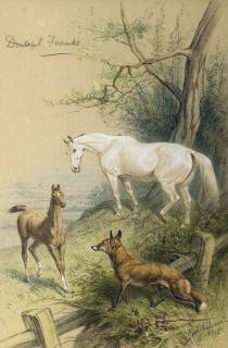 Basil Nightingale - Doubtful friends