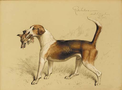 Basil Nightingale - Retribution