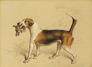 Basil Nightingale - Retribution