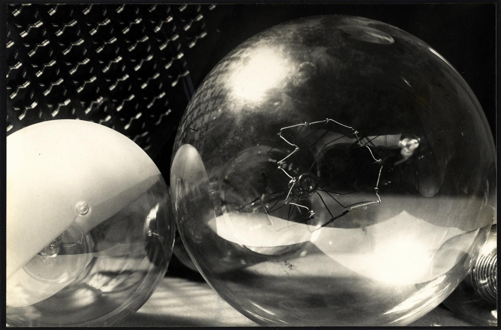 Beate Clodt von Jürgensburg - Ohne Titel (Stillleben mit Glühbirnen)