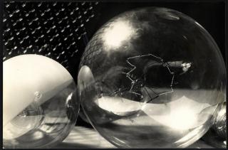 Beate Clodt von Jürgensburg - Ohne Titel (Stillleben mit Glühbirnen)