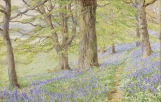 Beatrice E. Parsons - Bluebells