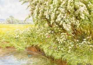 Beatrice E. Parsons - The kingfisher