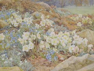 Beatrice Emma Parsons - Christmas roses and Snowdrops
