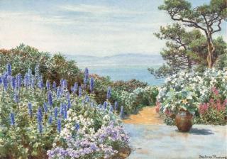 Beatrice Parsons - A Mediterranean garden