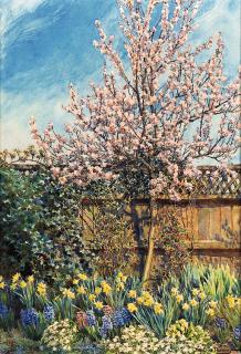 Beatrice Parsons - Almond Blossom, The Laurels, Oxley, Warwickshire