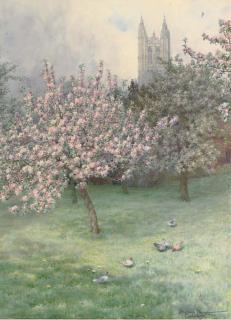 Beatrice Parsons - An apple orchard before Canterbury Cathedral