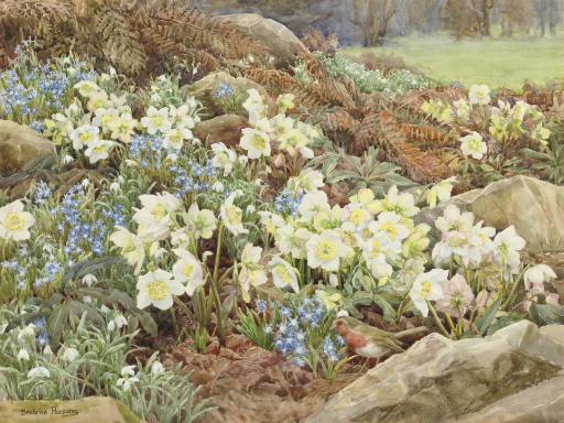 Beatrice Parsons - Christmas Roses and Snowdrops