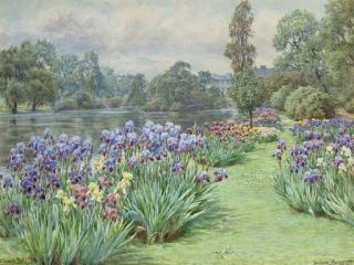 Beatrice Parsons - Iris Time, St James\'S Park, London