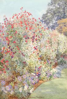 Beatrice Parsons - \'Michaelmas Sweet Peas, Holme Grange, Wokingham\'