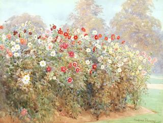 Beatrice Parsons - \'Single Dahlias, Kew\'