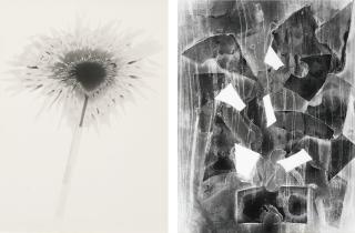 Běla Kolářová - Czech The Thistle And Razor Blades-Ii