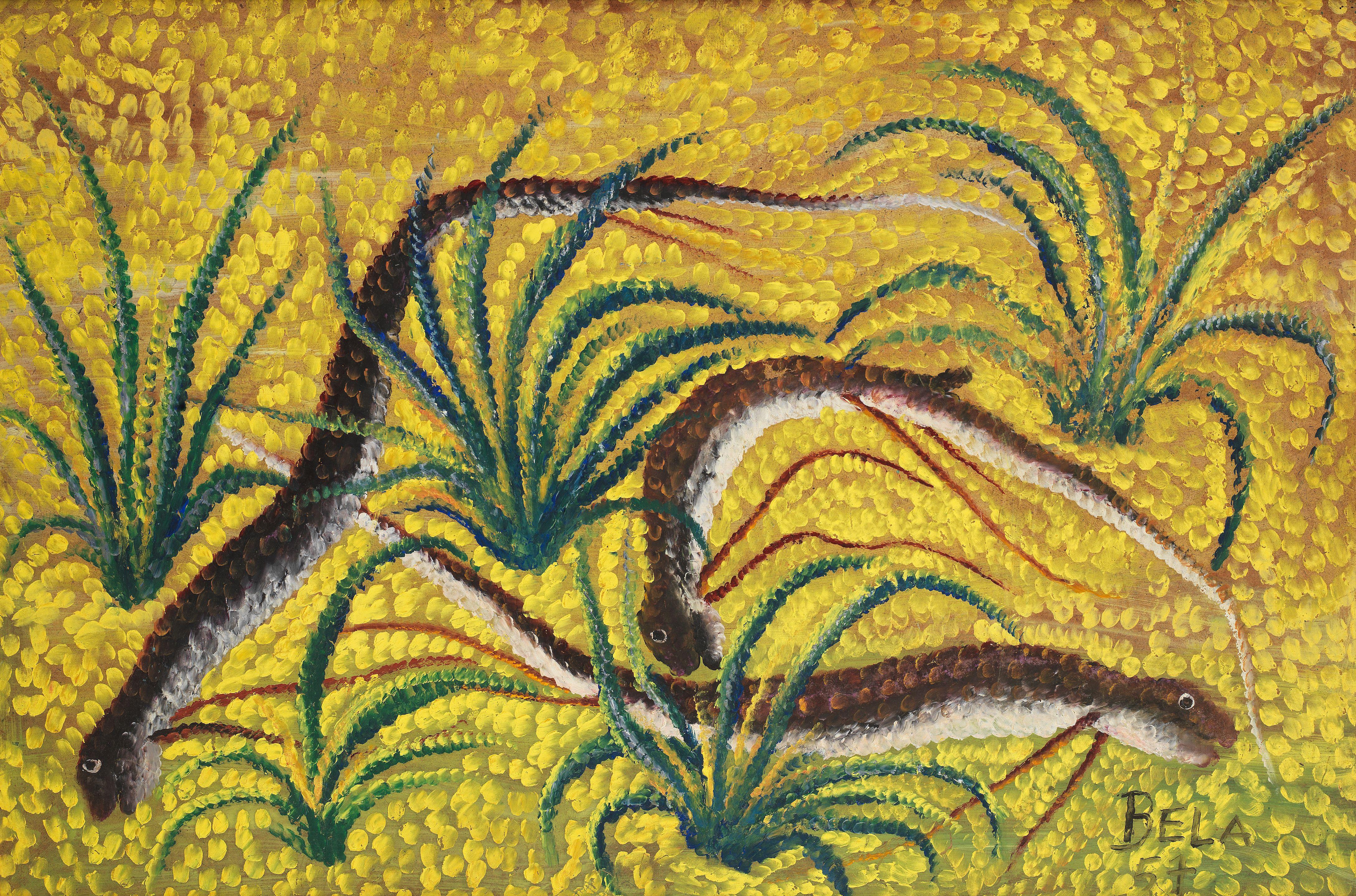 Bela Sara - Eels, Yellow