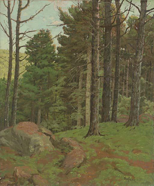 Ben Foster - Afternoon Amidst The Pines