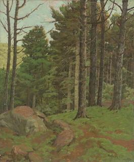Ben Foster - Afternoon Amidst The Pines
