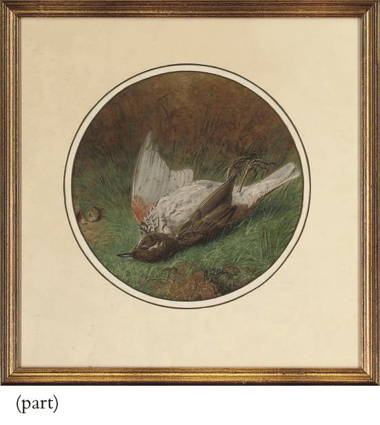 Ben Hold - A chaffinch; and A thrush (a pair)