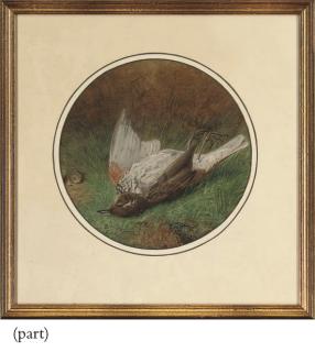 Ben Hold - A chaffinch; and A thrush (a pair)