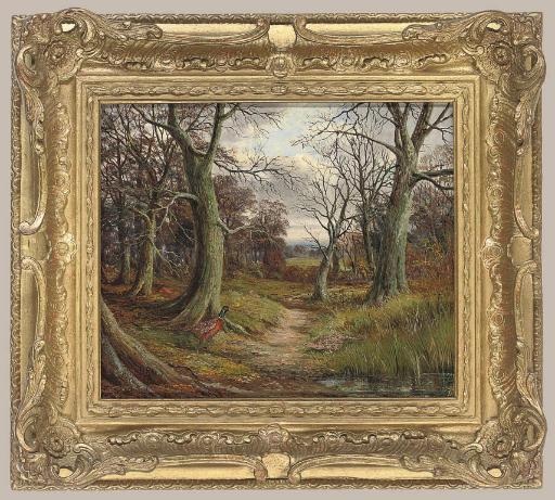 Ben Hold - A cock and a hen pheasant on a wooded path