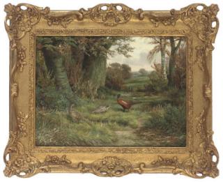 Ben Hold - A cock and two hen pheasants in a wooded landscape