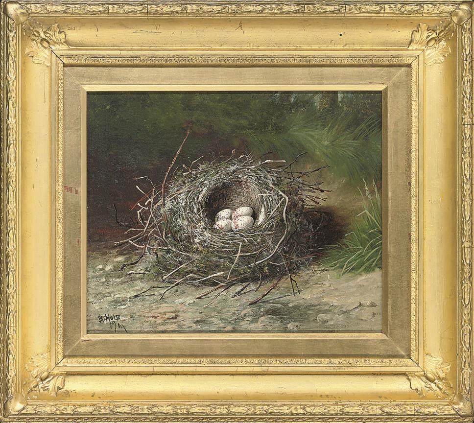Ben Hold - Birds eggs in a nest on a grassy bank; and Birds eggs in a nest on a sandy bank