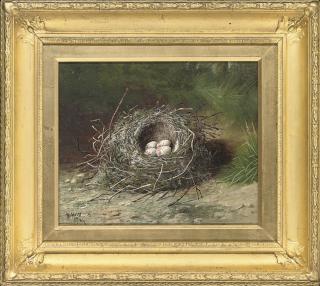 Ben Hold - Birds eggs in a nest on a grassy bank; and Birds eggs in a nest on a sandy bank