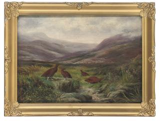 Ben Hold - Grouse in a highland landscape