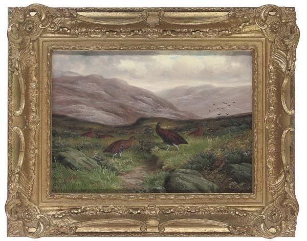 Ben Hold - Grouse on a moor