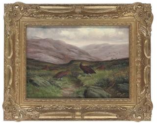 Ben Hold - Grouse on a moor