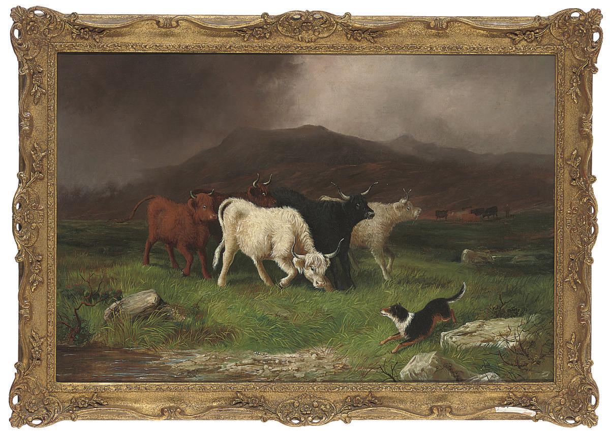 Ben Hold - Herding the cattle