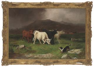 Ben Hold - Herding the cattle
