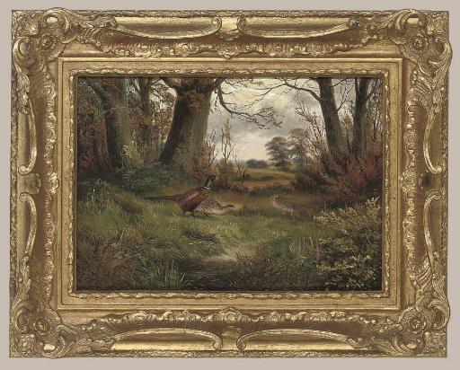 Ben Hold - Pheasants by a woodland track