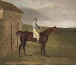 Ben Marshall - Burleigh, a chestnut racehorse, with Sam Chifney, at Newmarket