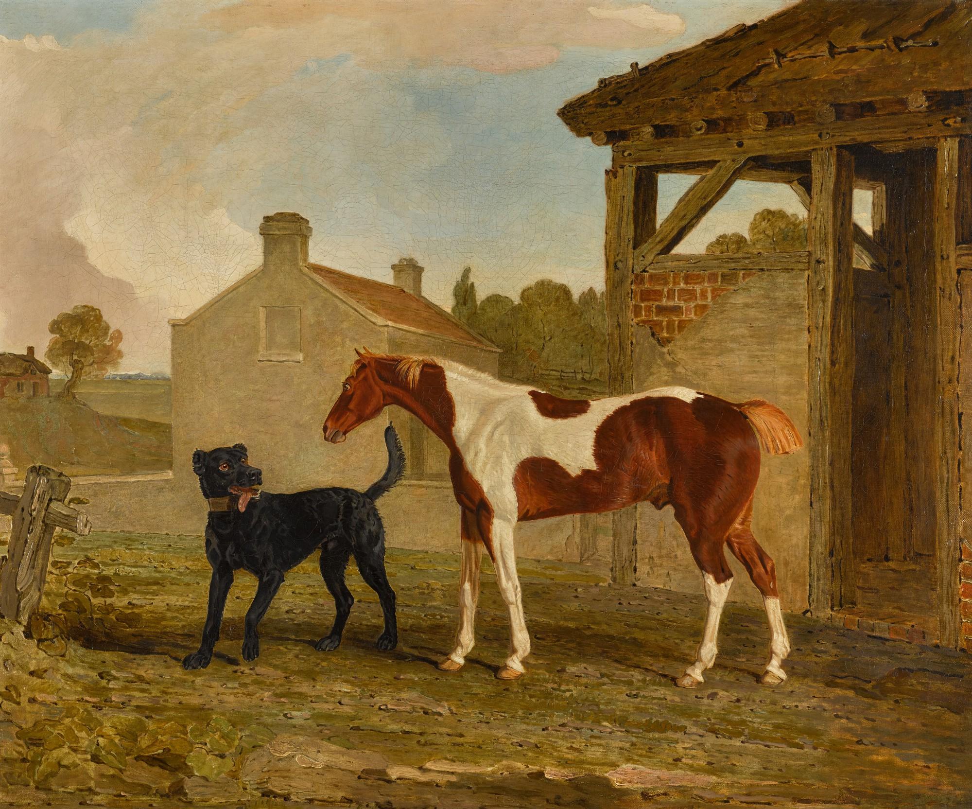 Ben Marshall - Mr Wedge\'s black Newfoundland dog, Satan, and a piebald pony, outside a barn
