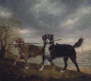Ben Marshall - Mrs. Orby Hunter\'s spaniels, Diver and Shuckleback, by the sea