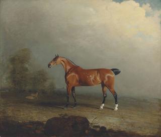 Ben Marshall - Musk, a bay hunter in a landscape