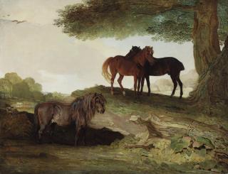 Ben Marshall - Ponies: A shetland pony, and two welsh ponies beneath a tree, in a landscape