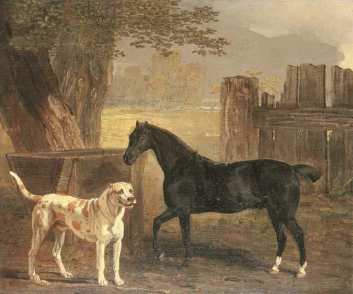 Ben Marshall - Sancho, a bay pony, with Cato