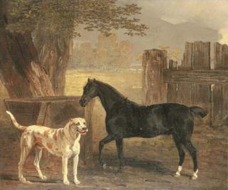 Ben Marshall - Sancho, a bay pony, with Cato