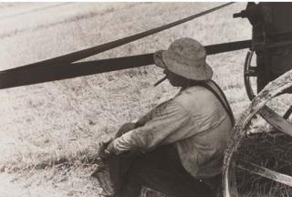 Ben Shahn - Man smoking in field