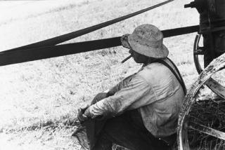 Ben Shahn - Man smoking in field