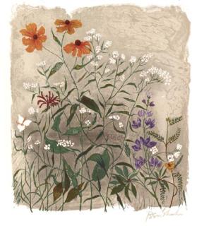 Ben Shahn - Rainer Maria Rilke, For the Sake of a Single Verse, New York, The Ben Shahn Trust, 1968 (P. 113-25, 127-136)