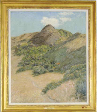 Benjamin Foster - Desert landscape