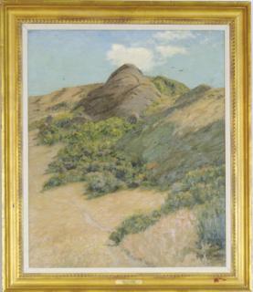 Benjamin Foster - Desert landscape